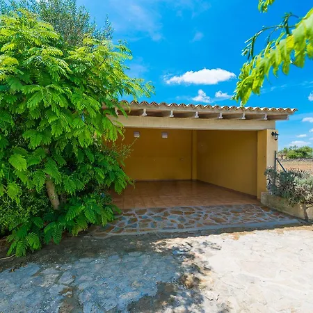 Liatris Villa Maria De La Salut