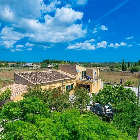 Liatris Villa Maria De La Salut