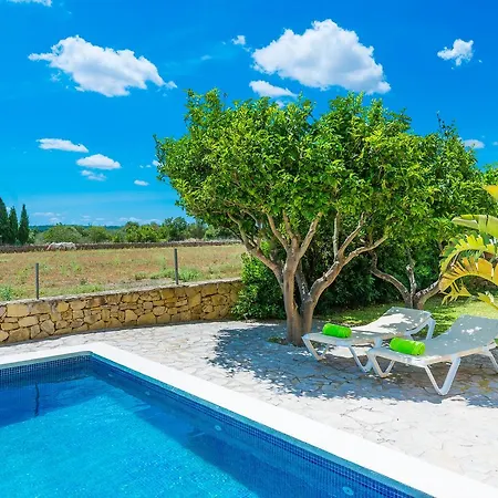 Liatris Villa *