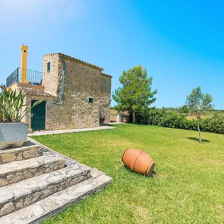 Liatris Villa Maria De La Salut